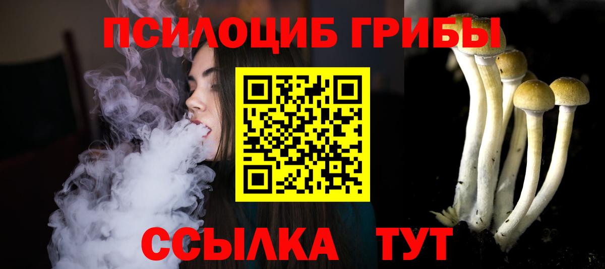 Якутск  Псилоцибиновые грибы MAGIC MUSHROOMS  Галлюциногенные грибы Cubensis  Вход с VPN 
